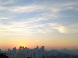 {{brizy_dc_image_alt entityId=